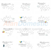 Azithromycin, Ciprofloxacin, Augmentin (Amoxicillin + Clavulanate), and Fosfomycin